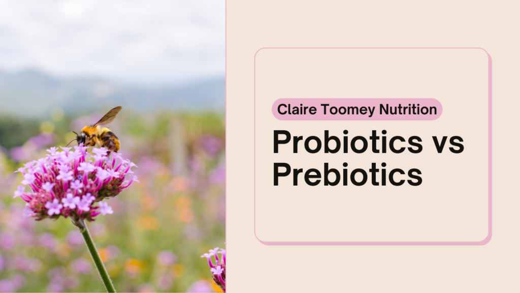 Image of pink flower with bee sitting on top. Writing reads Probiotics vs Prebiotics.