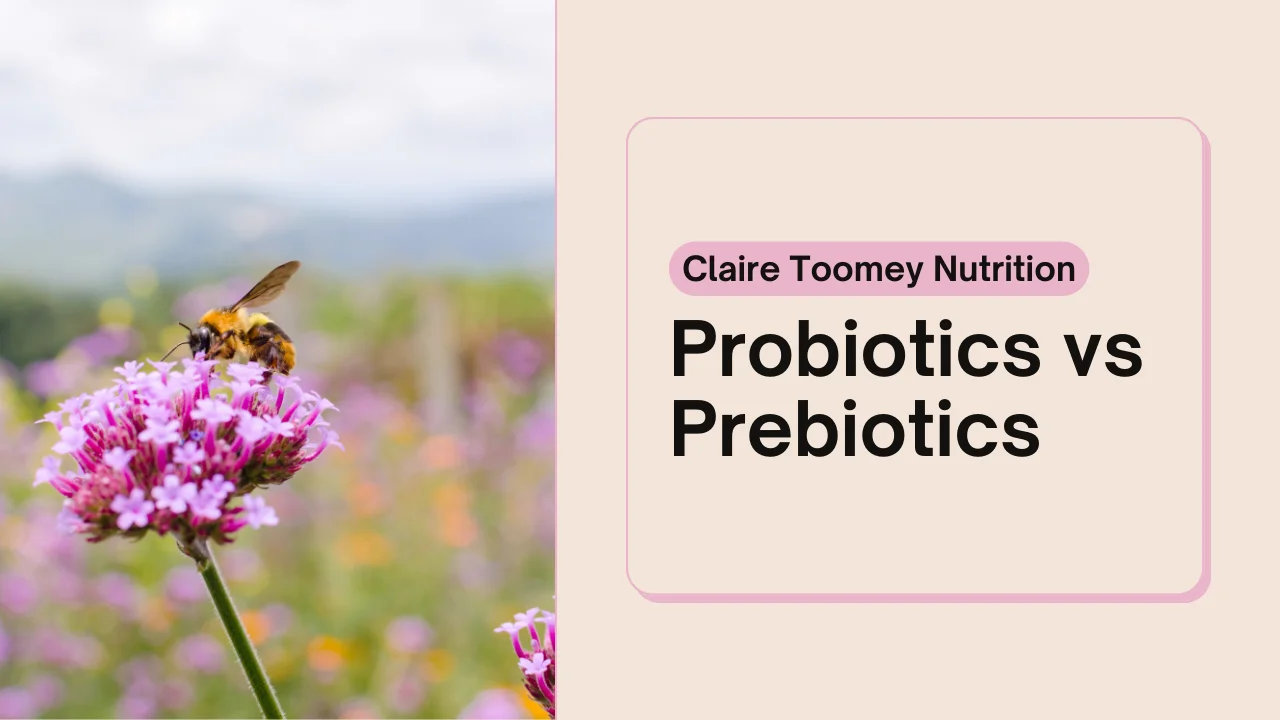 Image of pink flower with bee sitting on top. Writing reads Probiotics vs Prebiotics.